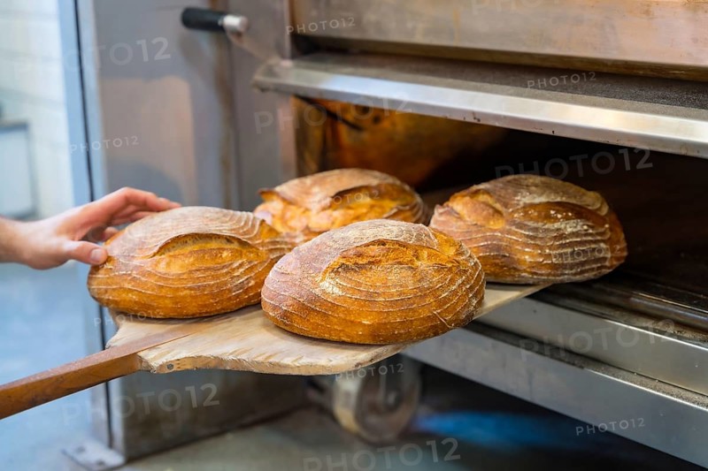 Baker employee of bakery in the workshop workshop of artisan bakery baking loaves in the oven