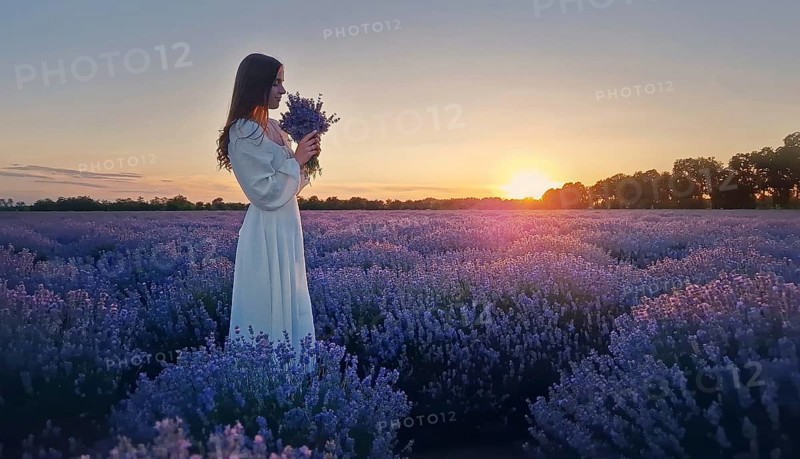Young woman wearing a white dress on a lavender field smelling purple lavandula flowers bouquet. Beautiful bride in harmony with nature, marriage happiness concept, picturesque summer scenery