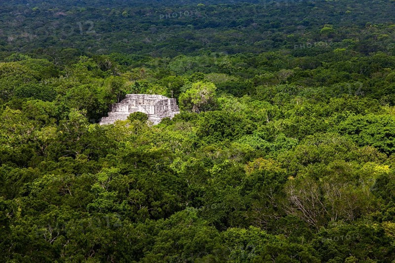 Maya-Ruinen in Calakmul
