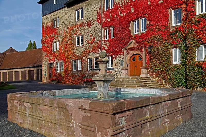 Castle, vine leaves, Lauterbach, Vogelsbergkreis district, Hesse, Germany, Europe