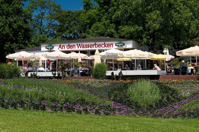 Cafe 'An den Wasserbecken', Westfalenpark Dortmund, Ruhr Area, shrub rose (Rosa), Germany, Europe