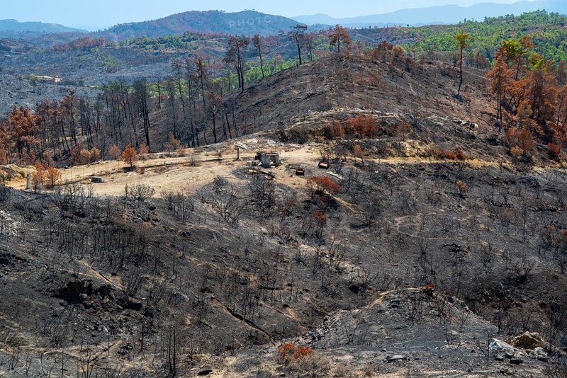 Burnt land, trees, bushes, fire, forest fire 2023 Mountain village of Laerma, Rhodes, Dodecanese, Greece, Europe