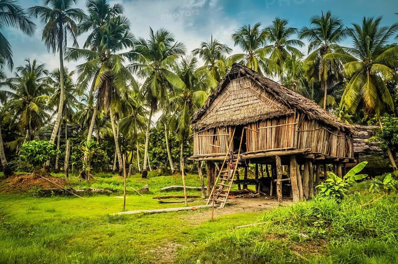 Photo of large house made of straw and bamboo in Palembe, Sepik river in Papua New Guinea. In this region, one can only meet people from isolated local tribes