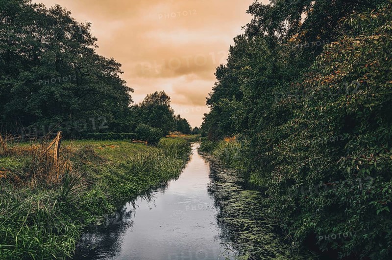 The river Wietze in Isernhagen near Hanover in autumn during rainy weather and sunset, Isernhagen, Lower Saxony, Germany, Europe