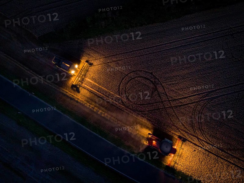 A combine harvester harvests a grain forest. When it is harvest time, the grain must also be brought from the stalk at night