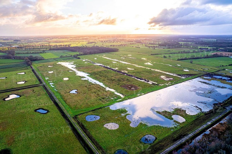 Vreeser Wiesen Bockholter Dose drone image, rewetted bog area, Bockholter Dose nature reserve, Emsland, Germany, Europe