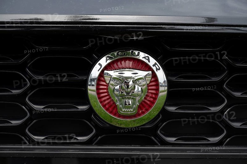Logo of the car manufacturer Jaguar