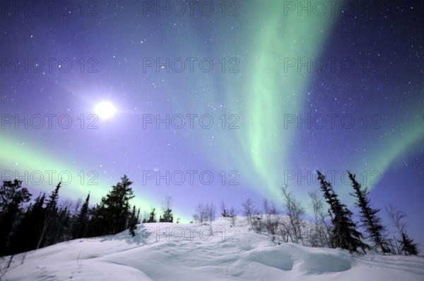 Northern Lights, Northwest Territories (Aurora borealis), Canada, North America