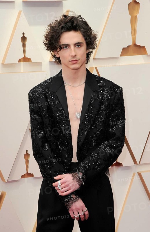 Timothée Chalamet at the 94th Annual Academy Awards held at the Dolby Theatre in Los Angeles, USA on March 27, 2022