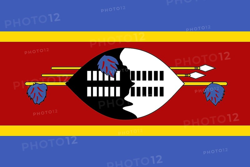 Flag of Eswatini Swaziland, Vector illustration