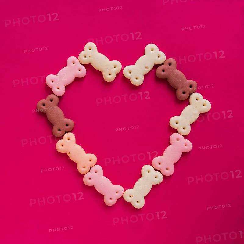 Dog snacks heart shape