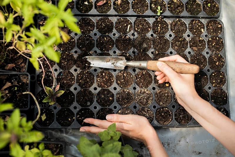 Woman gardening with garden throwel