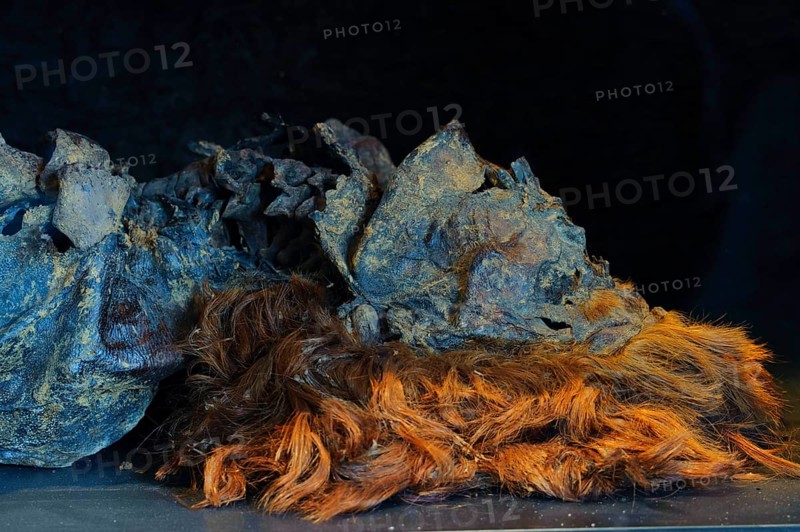 Bog body of Husbaeke, Landesmuseum Oldenburg, Lower Saxony, Germany, Europe