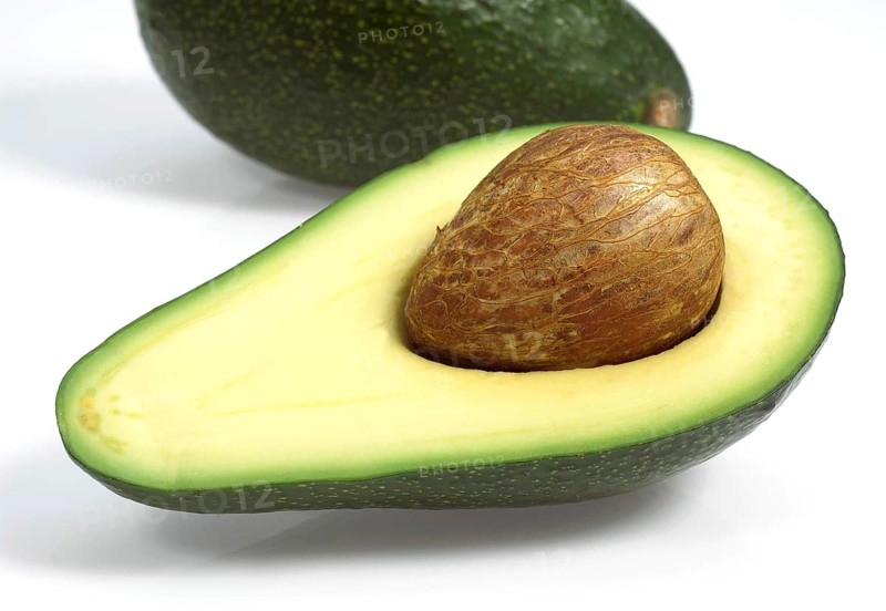Avocado, persea gratissima against White Background