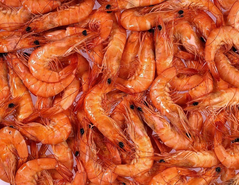 Prawns at Fishmonger's shop