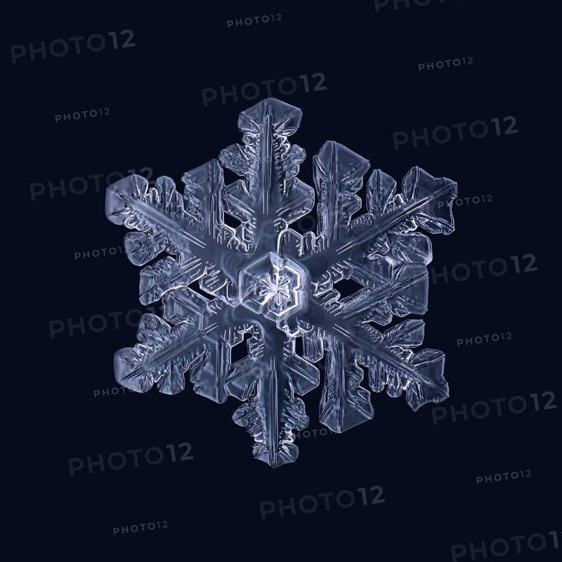 Macro shot of a real snowflake