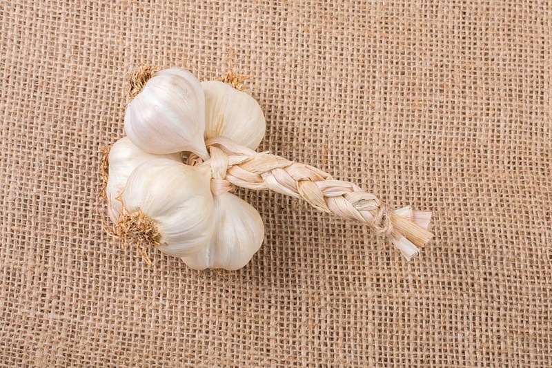 Cloves of garlic placed on a canvas texture