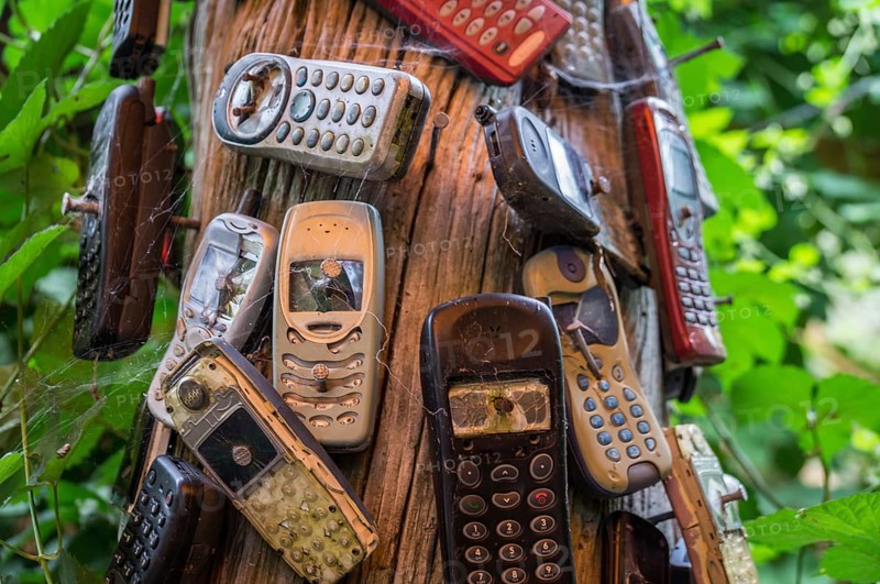 Old mobile phones nailed to a trunk. The severely damaged mobile phones are covered in spider webs