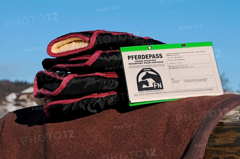 Transport gaiters and equine passport, horse passport