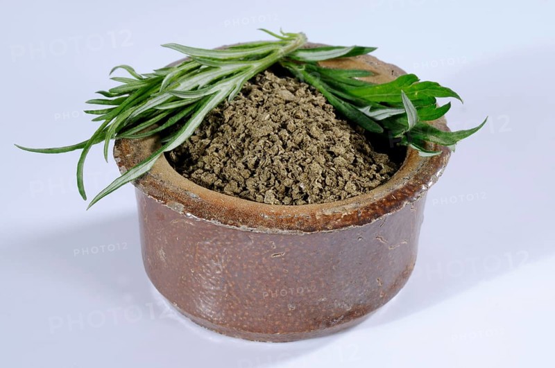 Common Mugwort (Artemisia vulgaris), dried