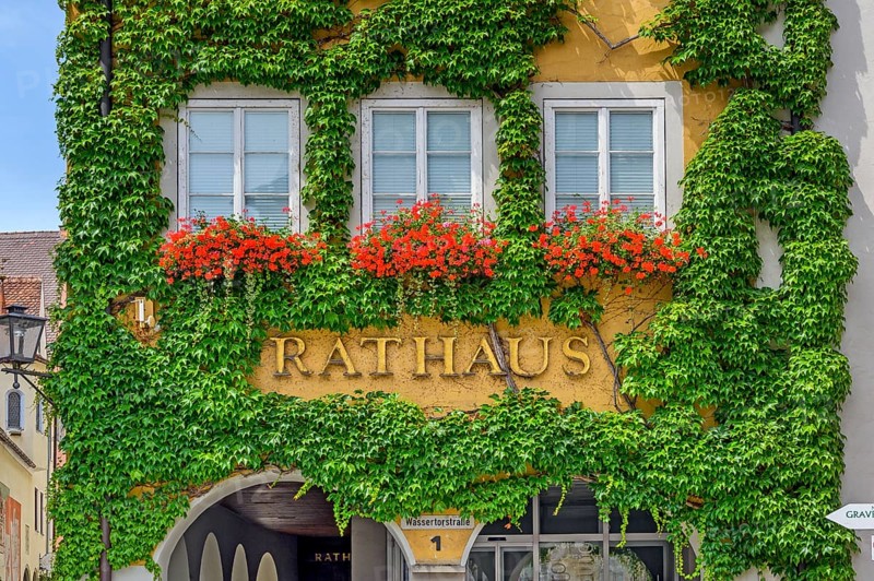 Town hall with floral decoration, Pelargonium (Pelargonium), and Boston ivy (Parthenocissus tricuspidata), Isny, Baden-Württemberg, Germany, Europe
