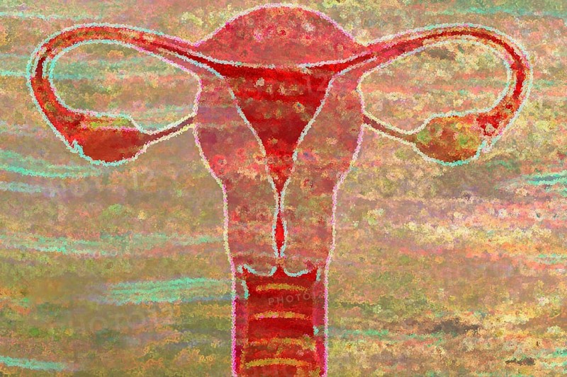 This is the uterus and this is where a fertilised ovum matures