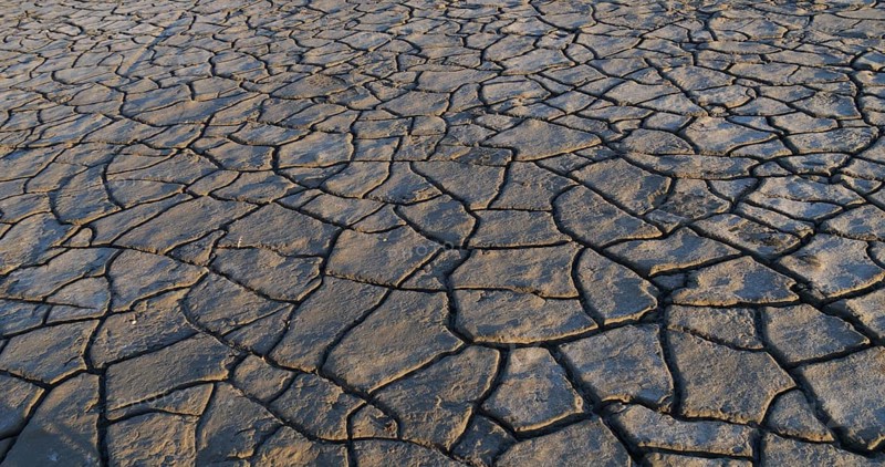 Drought in the Marshes of Camargue, Les Saintes Maries de la Mer, in the South East of France
