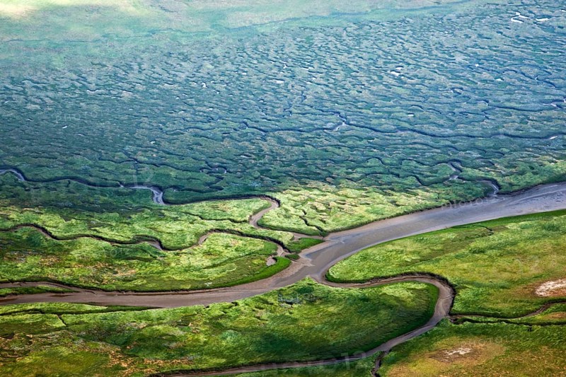 Salt marshes, marshland, between Hitzsand and dyke, St. Peter-Ording, Eiderstedt, Schleswig-Holstein, North Sea, Germany, Europe