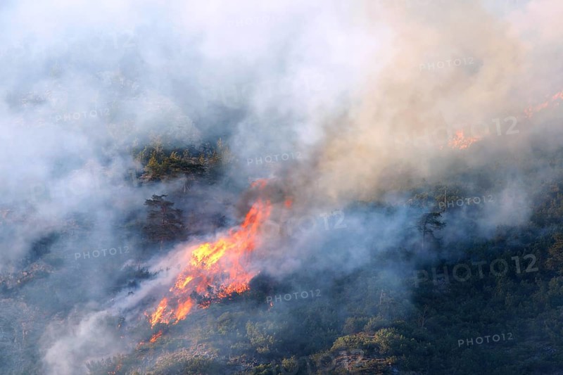 Forest fire on Mt Hochmahdkopf, Tyrol, Austria, Europe