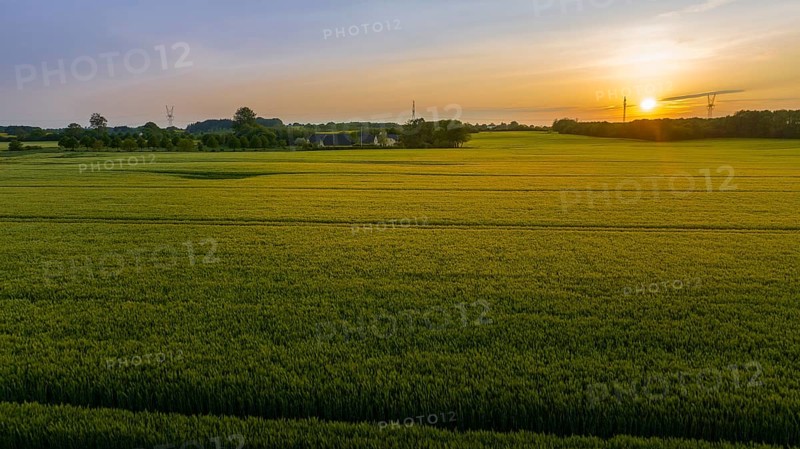 Aerial view, Denmark, Region Syddanmark, Christiansfeld, Agriculture and farms with grain and rape fields, Christiansfeld, Region Syddanmark, Denmark, sunset, Europe