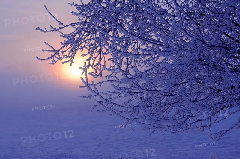 Sunrise with snow at Maulbronn, morning mood, fog with snow, dirt road with snow, sun with rays, snow, landscape