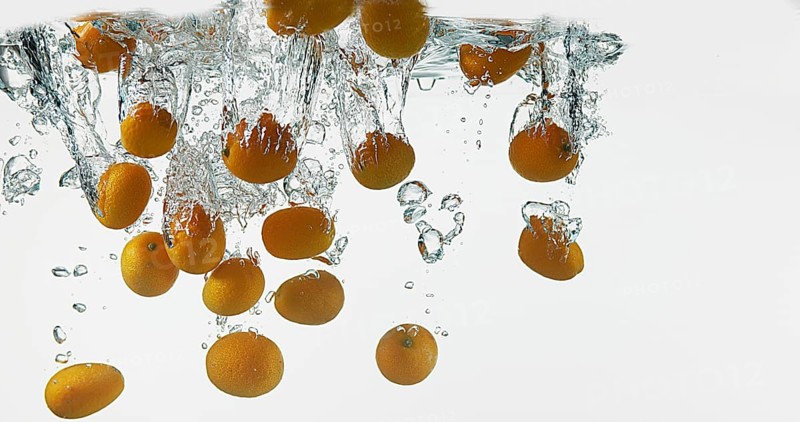 Kumquat (fortunella margarita), Fruits falling into Water against White Background