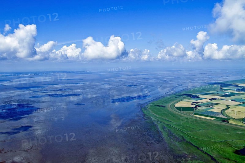 Elbe estuary, North Sea coast, near Neufelderkoog, Dithmarschen, Schleswig-Holstein, Germany, Europe