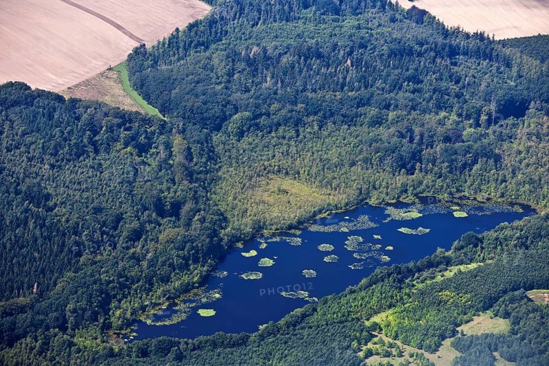 Lake, Schaalsee nature Park, Rosenhagen, Schleswig-Holstein, Germany, Europe