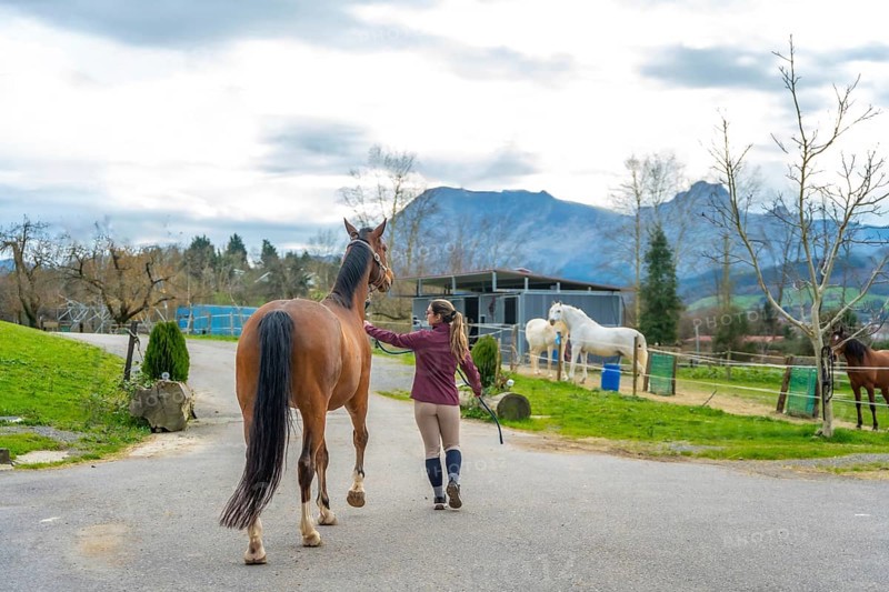 Young female horse trainer preparing her horse for riding outside the horse stable