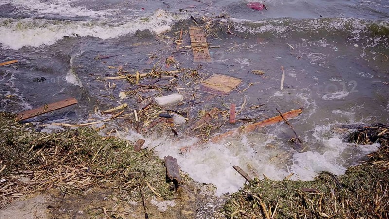Close-up of floating debris has reached Black Sea beaches in Odessa, Ukraine. Environmental disaster caused by the explosion of Kakhovka Hydroelectric Power Plant dam