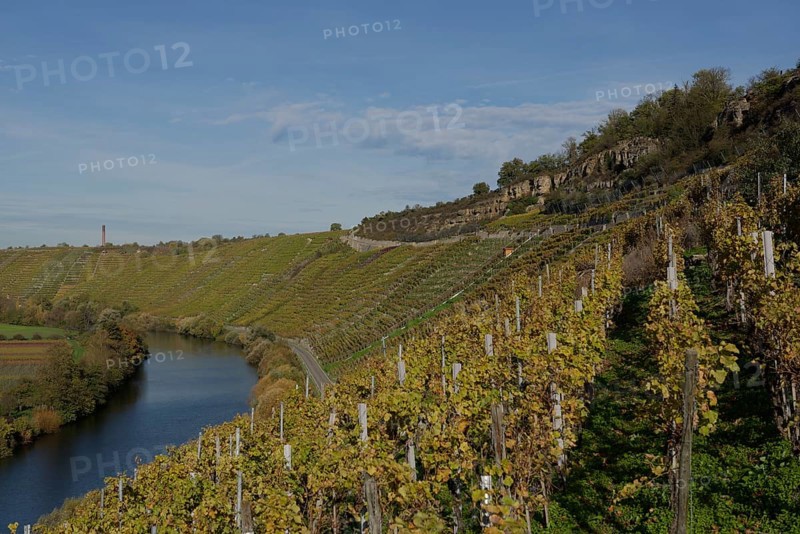 Hessigheim rock gardens, vineyard, climbing, hiking, Neckar, Hessigheim, Ludwigsburg