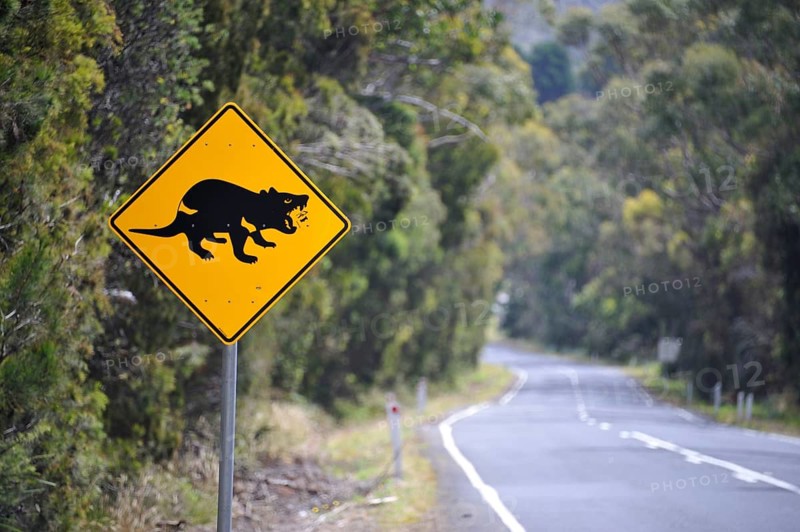 Traffic Sign Bag Devil, Tasmania, Tasmanian Devil, Australia, Oceania
