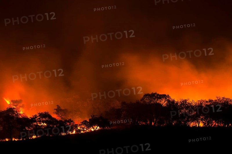 Bushfire, KwaZulu-Natal, South Africa, Fire, Africa
