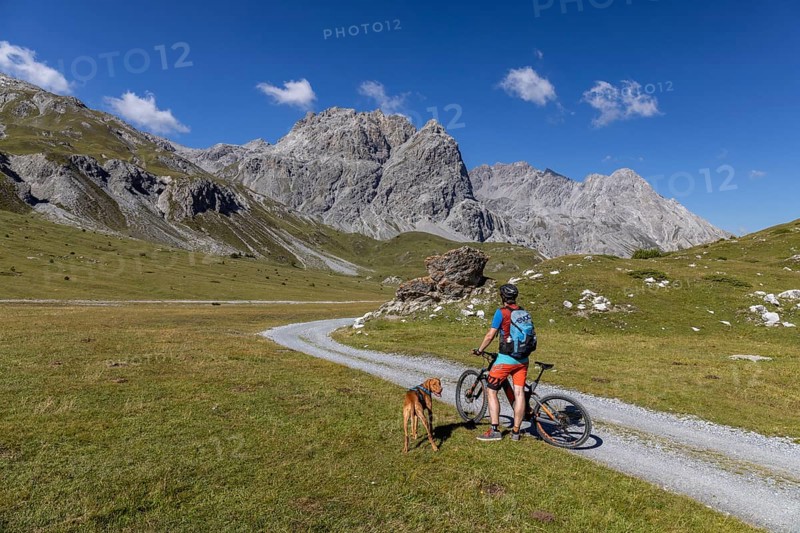 Mountain biker with Vizsla in Val Mora near Döss Radond, behind Piz Murtaröl and Pala Gronda, Tschierv in Münstertal, Grisons, Switzerland, Europe