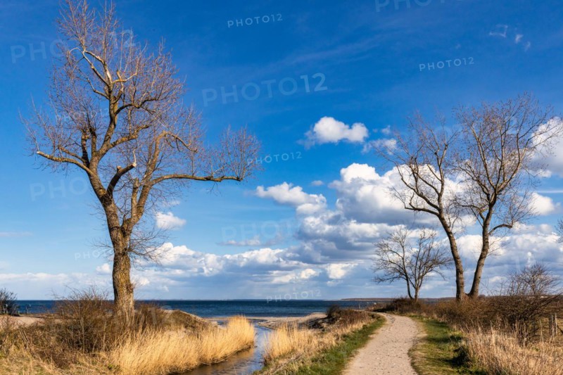 Beach Boltenhagen Baltic Sea