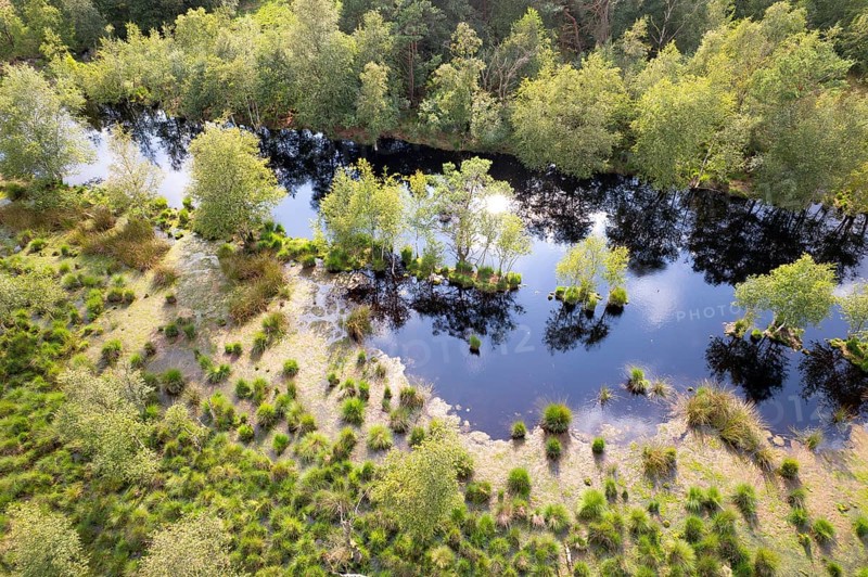 Bockholter Dose drone image, rewetted bog area, Bockholter Dose nature reserve, Emsland, Germany, Europe