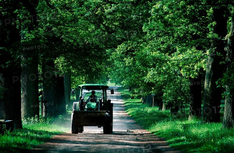 Tractor in Chestnut Tree Avenue, tractor in chestnut avenue, summer, boulevard, landscape, horizontal, Germany, Europe