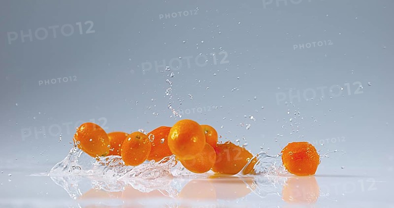 Kumquat (fortunella margarita), Fruits falling on Water
