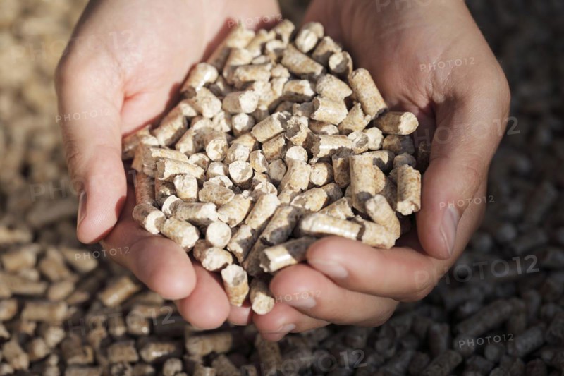 Alternative fuel: Pellets made from industrial wood waste. Short depth-of-field
