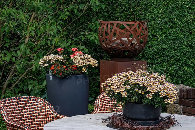 Garden furniture and plant arrangements in a decorative garden area, bad zwischenahn, lower saxony, germany