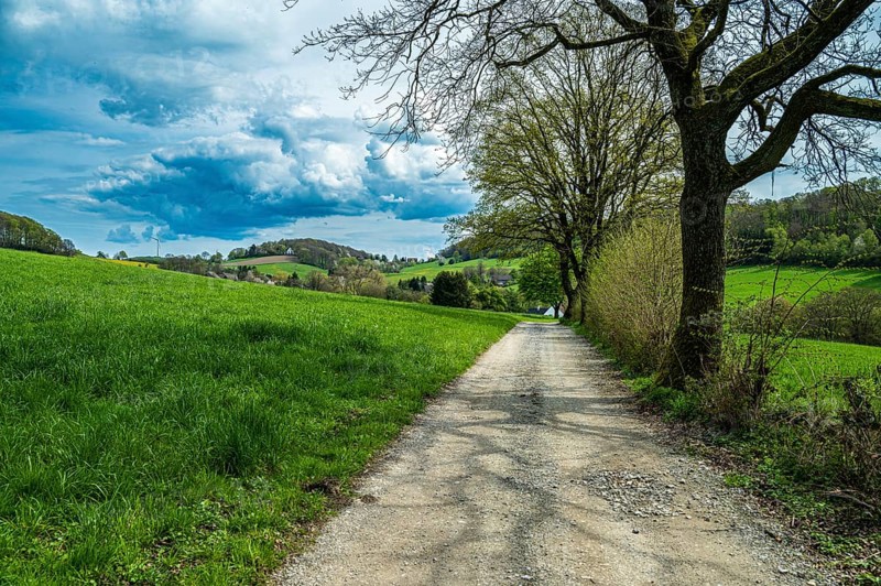 A picturesque country path leads through a green meadow landscape under a cloudy blue sky, Deilbachtal, Velbert, Mettmann, North Rhine-Westphalia