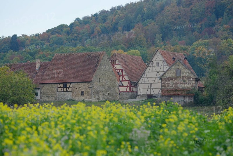 Half-timbered houses in the museum village, Hohenlohe Open-Air Museum, Wackershofen, Swabian-Franconian Forest nature park Park, Kocher Valley, Kocher, Schwäbisch Hall, Hohenlohe, Heilbronn-Franconia, Baden-Württemberg, Germany, Europe
