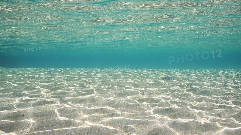 Sandy shallow water in sunburst and glare on seabed sand. Sunlight passes through surface of turquoise water and glares on sandy bottom in shallow water on bright sunny day, Red sea, Egypt, Africa