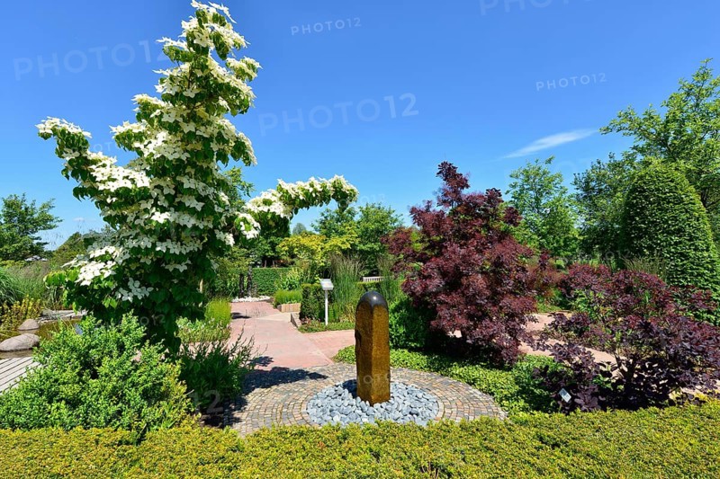 Theme garden with flower dogwoods and fountains in the Park of Gardens, Bad Zwischenahn, Ammerland, Lower Saxony, Germany, Europe